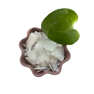 cf1a9db58ea2bc77bf4f5f4a8a05296e